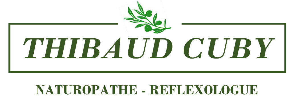Naturopathe Berck 62600